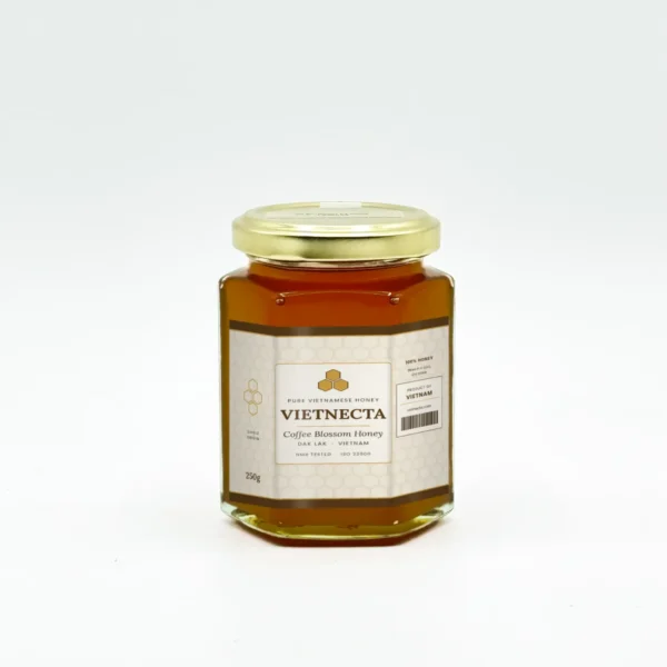Dak Lak Coffee Blossom Pure Honey in Bulk - Vietnecta